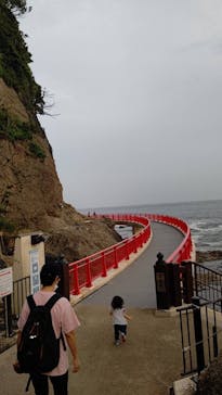 新江ノ島水族館に投稿された画像（2021/7/7）