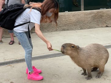 神戸どうぶつ王国に投稿された画像（2021/7/8）