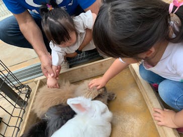 神戸どうぶつ王国に投稿された画像（2021/7/8）