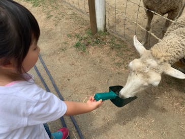 神戸どうぶつ王国に投稿された画像（2021/7/8）