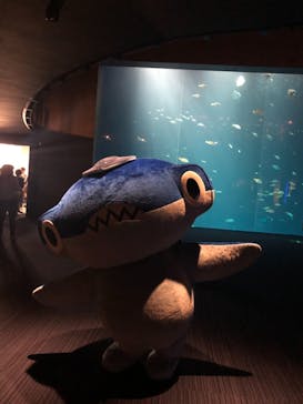四国水族館に投稿された画像（2021/7/8）