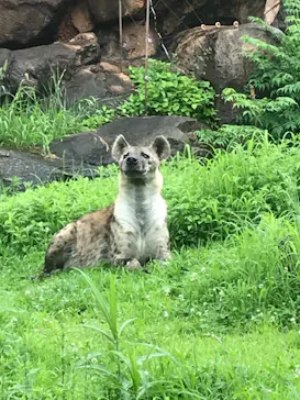 天王寺動物園に投稿された画像（2021/7/8）