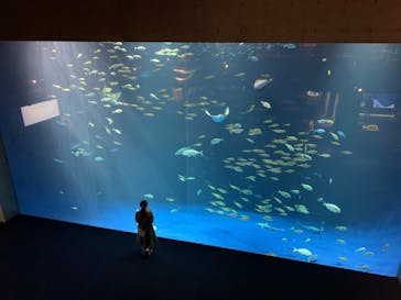 四国水族館に投稿された画像（2021/7/8）