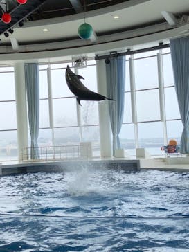 アクアワールド茨城県大洗水族館に投稿された画像（2021/7/8）