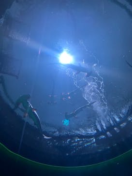 四国水族館に投稿された画像（2021/7/9）