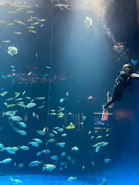 四国水族館に投稿された画像（2021/7/9）