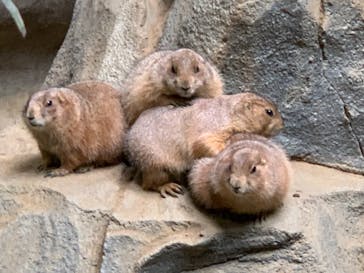 神戸どうぶつ王国に投稿された画像（2021/7/9）