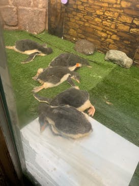 那須どうぶつ王国に投稿された画像（2021/7/9）