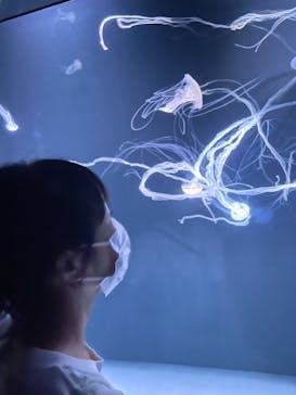 サンシャイン水族館に投稿された画像（2021/7/9）