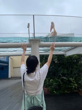 サンシャイン水族館に投稿された画像（2021/7/9）