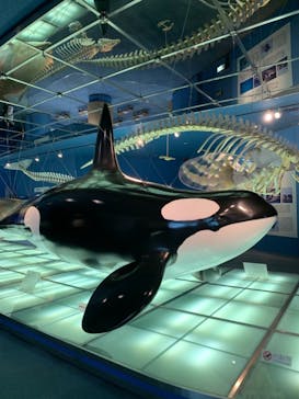 名古屋港水族館に投稿された画像（2021/7/10）