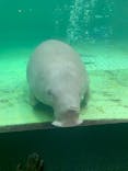 鳥羽水族館に投稿された画像（2021/7/10）