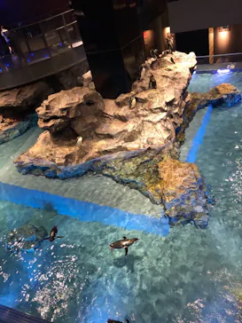 すみだ水族館に投稿された画像（2021/7/10）
