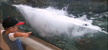 しながわ水族館に投稿された画像（2021/7/10）