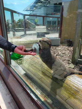 横浜・八景島シーパラダイスに投稿された画像（2021/7/10）