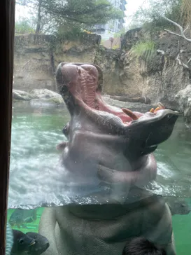 天王寺動物園に投稿された画像（2021/7/10）