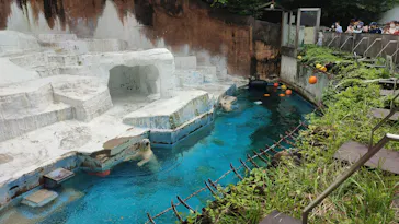 天王寺動物園に投稿された画像（2021/7/10）