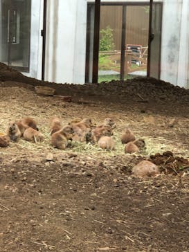 那須どうぶつ王国に投稿された画像（2021/7/10）