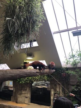 那須どうぶつ王国に投稿された画像（2021/7/10）