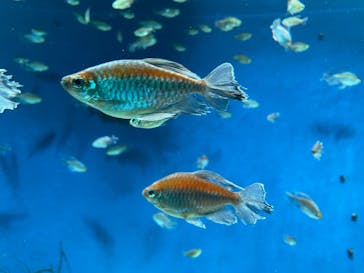 サンシャイン水族館に投稿された画像（2021/7/10）