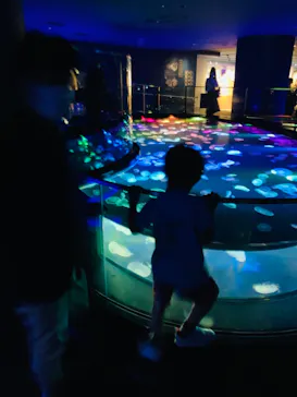 すみだ水族館に投稿された画像（2021/7/10）