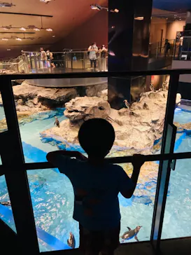 すみだ水族館に投稿された画像（2021/7/10）