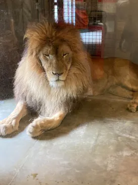 天王寺動物園に投稿された画像（2021/7/10）