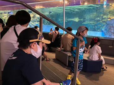 すみだ水族館に投稿された画像（2021/7/10）