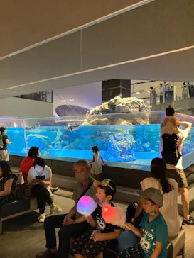 すみだ水族館に投稿された画像（2021/7/10）