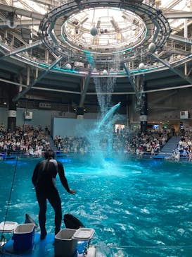 マクセル アクアパーク品川に投稿された画像（2021/7/10）