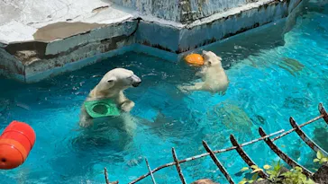 天王寺動物園に投稿された画像（2021/7/10）