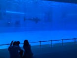 名古屋港水族館に投稿された画像（2021/7/10）