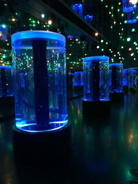 マクセル アクアパーク品川に投稿された画像（2021/7/10）