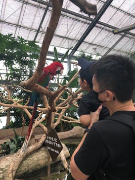 神戸どうぶつ王国に投稿された画像（2021/7/10）