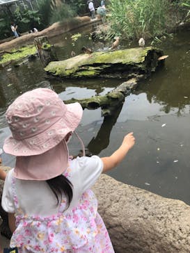 神戸どうぶつ王国に投稿された画像（2021/7/10）