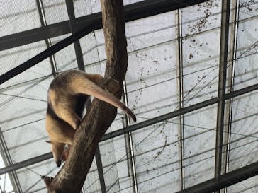 神戸どうぶつ王国に投稿された画像（2021/7/10）