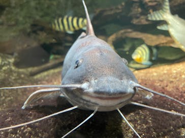 サンシャイン水族館に投稿された画像（2021/7/10）