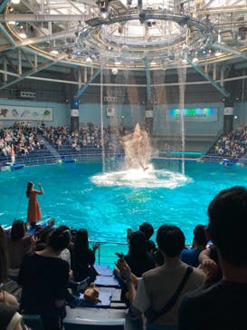 マクセル アクアパーク品川に投稿された画像（2021/7/10）