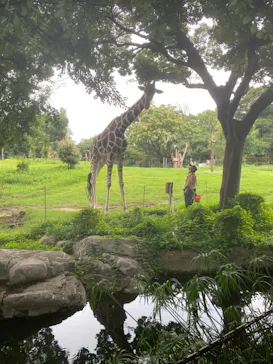 天王寺動物園に投稿された画像（2021/7/10）