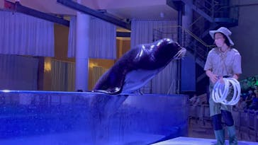 アクアワールド茨城県大洗水族館に投稿された画像（2021/7/10）