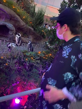 サンシャイン水族館に投稿された画像（2021/7/10）