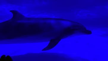 アクアワールド茨城県大洗水族館に投稿された画像（2021/7/10）