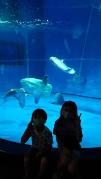 アクアワールド茨城県大洗水族館に投稿された画像（2021/7/10）