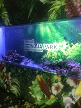 マクセル アクアパーク品川に投稿された画像（2021/7/10）