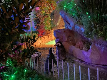 サンシャイン水族館に投稿された画像（2021/7/10）