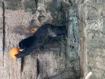 天王寺動物園に投稿された画像（2021/7/10）