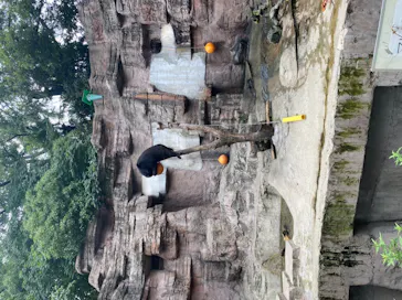 天王寺動物園に投稿された画像（2021/7/10）