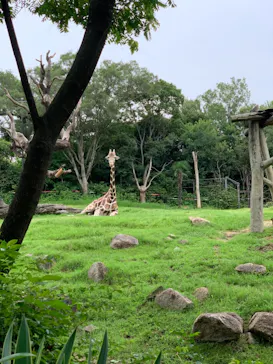 天王寺動物園に投稿された画像（2021/7/10）