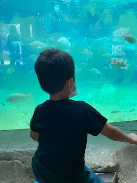 天王寺動物園に投稿された画像（2021/7/10）