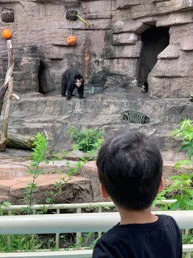 天王寺動物園に投稿された画像（2021/7/10）